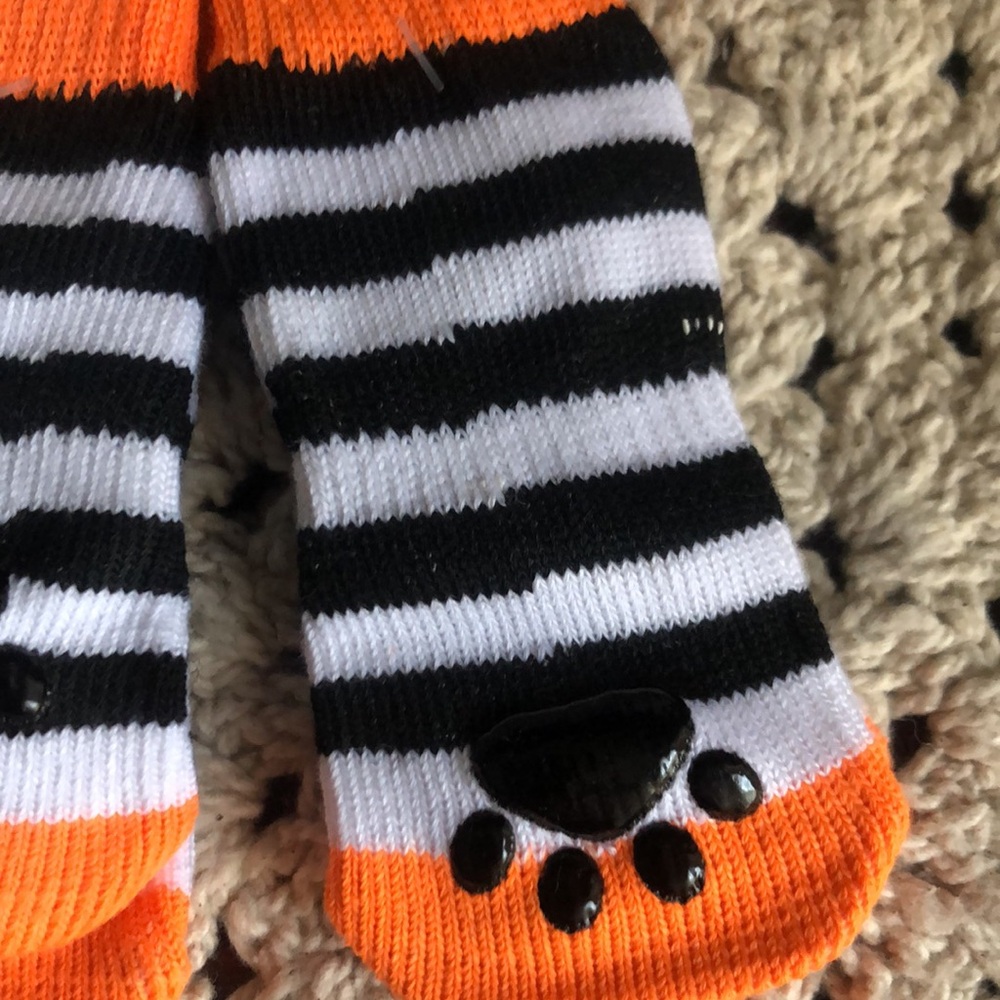 Spooky Pet Socks with Pumpkin Design - Picture 6 of 8